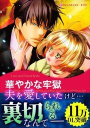 『華やかな牢獄【新装版】』の表紙