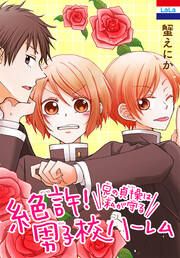 『絶許!男子校ハーレム～兄の貞操は私が守る～』の表紙