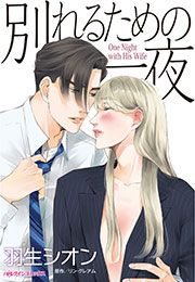 『別れるための一夜』の表紙