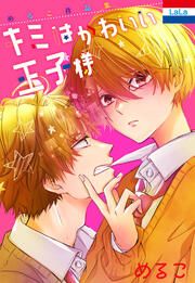 『めるこ作品集「キミはかわいい王子様」』の表紙