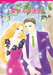『愛ゆえの迷宮【新装版】』の表紙
