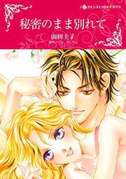 『秘密のまま別れて【新装版】』の表紙