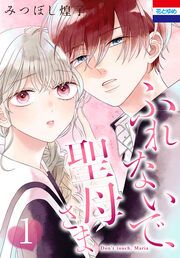 『ふれないで、聖母さま』の表紙
