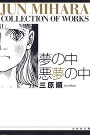 『夢の中 悪夢の中』の表紙