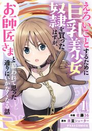『えろいことするために巨乳美少女奴隷を買ったはずが、お師匠さまと慕われて思った通りにいかなくなる話』の表紙