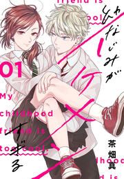『幼なじみがイケメンすぎる』の表紙