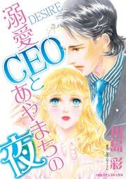 『溺愛CEOとあやまちの夜』の表紙