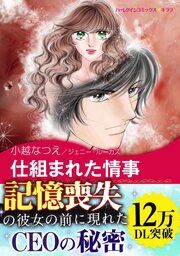 『仕組まれた情事【新装版】』の表紙