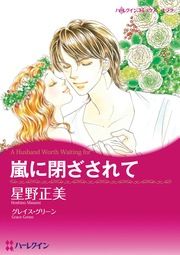 『嵐に閉ざされて【新装版】』の表紙