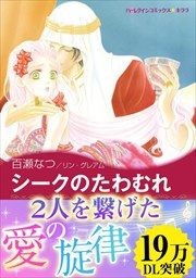 『シークのたわむれ【新装版】』の表紙
