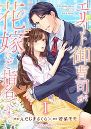 『エリート御曹司が花嫁にご指名です』の表紙