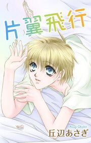 『片翼飛行』の表紙