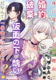『身に覚えのない理由で婚約破棄されましたけれど、仮面の下が醜いだなんて、一体誰が言ったのかしら?』の表紙