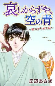 『哀しからずや、空の青~明治少年初恋記~』の表紙