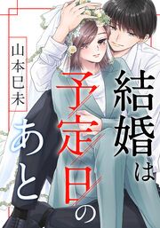 『結婚は予定日のあと』の表紙