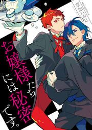 『お嬢様たちには秘密です。【タテスク】』の表紙