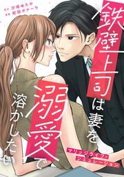 『鉄壁上司は妻を溺愛で溶かしたい~マリッジライフ・シミュレーション~』の表紙