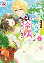 『どうも、悪役にされた令嬢ですけれど』の表紙