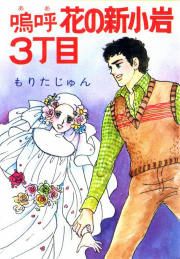 『嗚呼 花の新小岩3丁目』の表紙