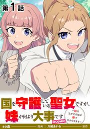 『国を守護している聖女ですが、妹が何より大事です~妹を泣かせる奴は拳で分からせます~@COMIC』の表紙