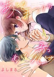 『あとのまつりのあとの恋』の表紙