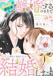 『推し似の副社長と離婚するつもりで結婚します～塩対応から始まる溺愛婚～』の表紙