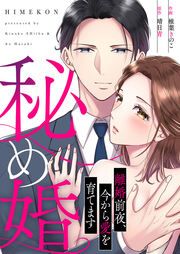 『秘め婚 離婚前夜、今から愛を育てます』の表紙