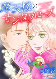 『摩天楼のサンタクロース』の表紙