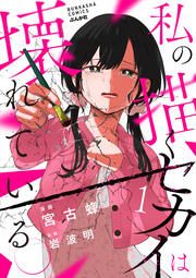 『私の描くセカイは壊れている。(分冊版)』の表紙