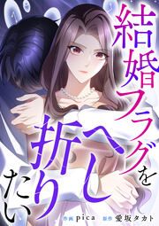 『結婚フラグをへし折りたい』の表紙