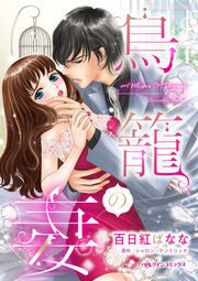 『鳥籠の妻』の表紙