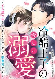 『冷酷王子の優しい溺愛~どん底の私を拾ってくれたのは有名な御曹司でした~』の表紙