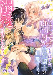 『離婚するはずが、冷酷騎士の旦那さまに溺愛されていたようです』の表紙