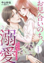 『お見合いのち、溺愛～副社長は花嫁を逃がさない～』の表紙