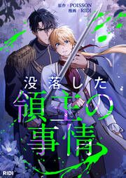 『没落した領主の事情』の表紙
