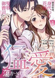 『破談前提、身代わり花嫁は堅物御曹司の猛愛に蕩かされる』の表紙