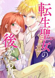 『転生聖女の後かたづけ』の表紙