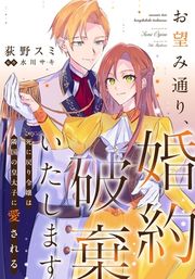 『お望み通り、婚約破棄いたします～死に戻り令嬢は隣国の皇太子に愛される～』の表紙