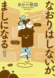 『なおりはしないが、ましになる』の表紙