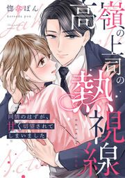 『高嶺の上司の熱視線~同情のはずが、甘く切望されてしまいました~』の表紙