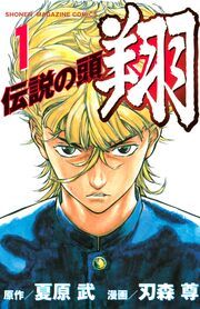 『伝説の頭 翔』の表紙