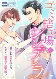 『ゴミ捨て場のシンデレラ ~崖っぷちの私を拾ったイケメン御曹司と溺愛婚!?~』の表紙