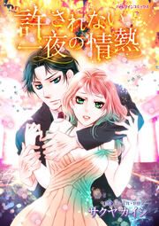 『許されない一夜の情熱【新装版】』の表紙