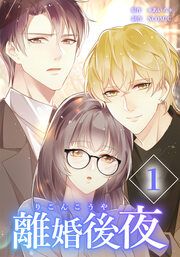 『離婚後夜【分冊版】』の表紙