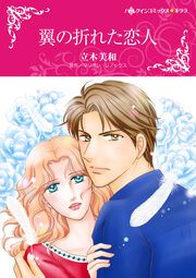 『翼の折れた恋人【新装版】』の表紙