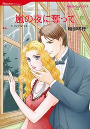 『嵐の夜に奪って【新装版】』の表紙