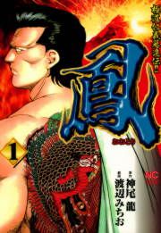 『鳳』の表紙