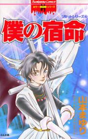 『リセットシリーズ4~僕の宿命~』の表紙