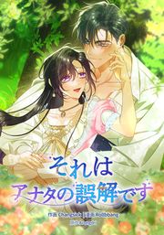 『それはアナタの誤解です』の表紙
