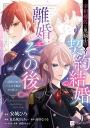 『宰相補佐と黒騎士の契約結婚と離婚とその後 ~辺境の地で二人は夫婦をやり直す~』の表紙